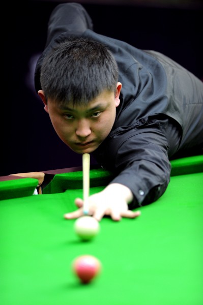 了坚实的内 了坚实的内